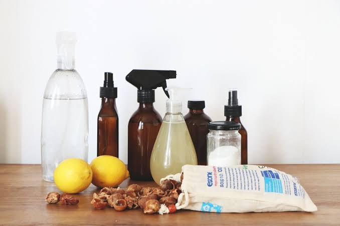 Natural Home Cleaning Tips for Homes With Pets and Kids